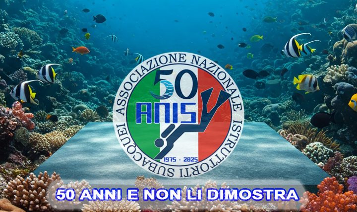 Festa per il 50° anniversario di ANIS