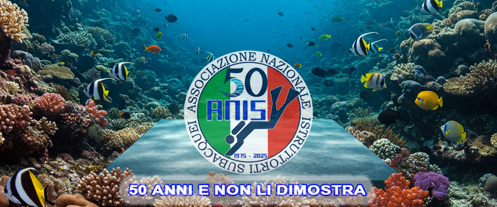 Festa per il 50° anniversario di ANIS